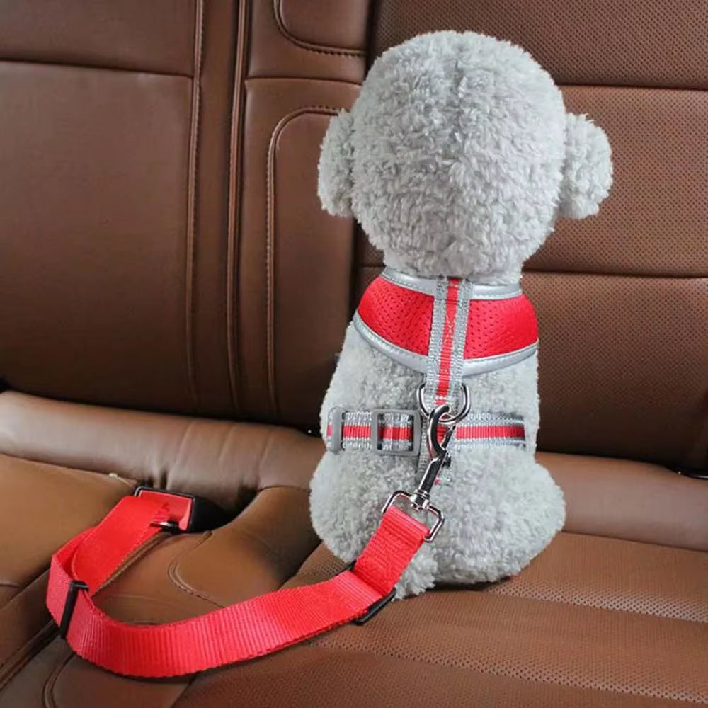 1PC Pet Car Safety Buckle Car Pet Safety Belt, Suitable for Small and Medium-Sized Dogs, Pet Out Safety Supplies